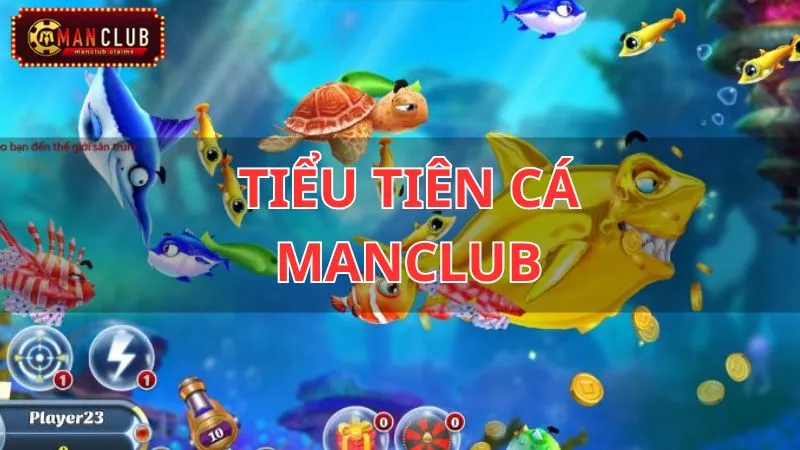tiểu tiên cá manclub